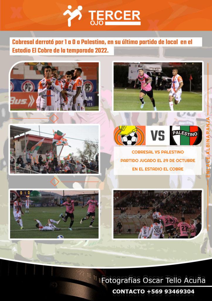 Cobresal vs Palestino