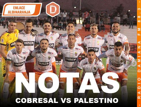 NOTAS COBRESAL PALESTINO WEB