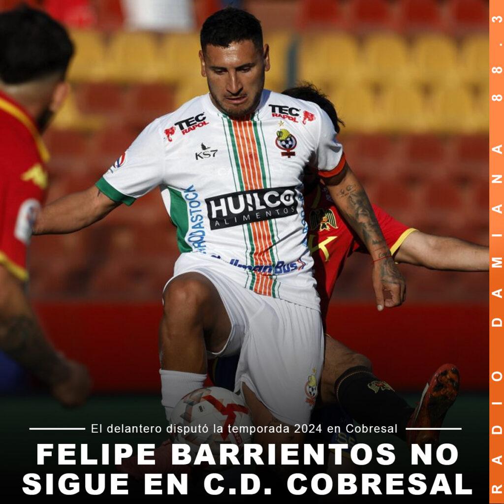 FELIPE BARRIENTOS DEJA COBRESAL