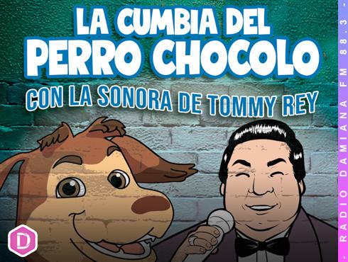 Perro chocolo web